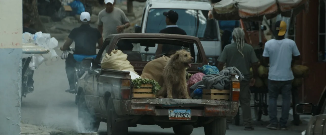 Arthur the King (2024) movie still: medium — A dusty city street is filled with people and a rusty pickup truck. A scruffy brown dog sits alert in…