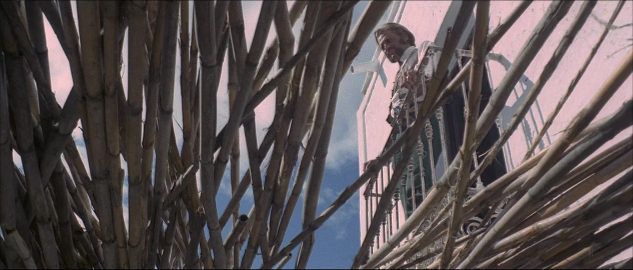 The Mercenary (1968) movie still: medium — A man stands on an ornate white balcony under a clear blue sky. Dense, vertical wooden poles in the…