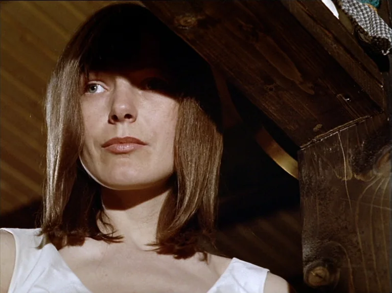 The Bitter Tears Of Petra Von Kant (1972) movie still: closeup — The interior of a rustic building with dark, weathered wooden beams and paneling. A…