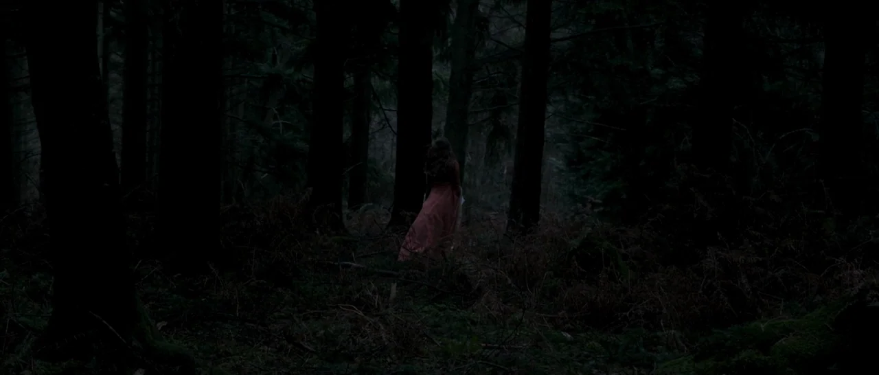 The Face of an Angel (2014) movie still: wide — A dense, dark forest filled with tall pine trees and low-lying ferns. A woman in a long red dress…