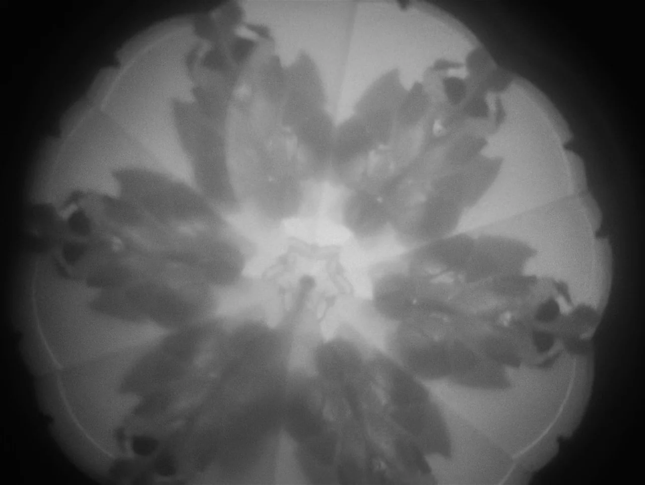 Charulata (1964) movie still: closeup — A circular view through a kaleidoscope displays a repeating, symmetrical floral-like geometric pattern. The…