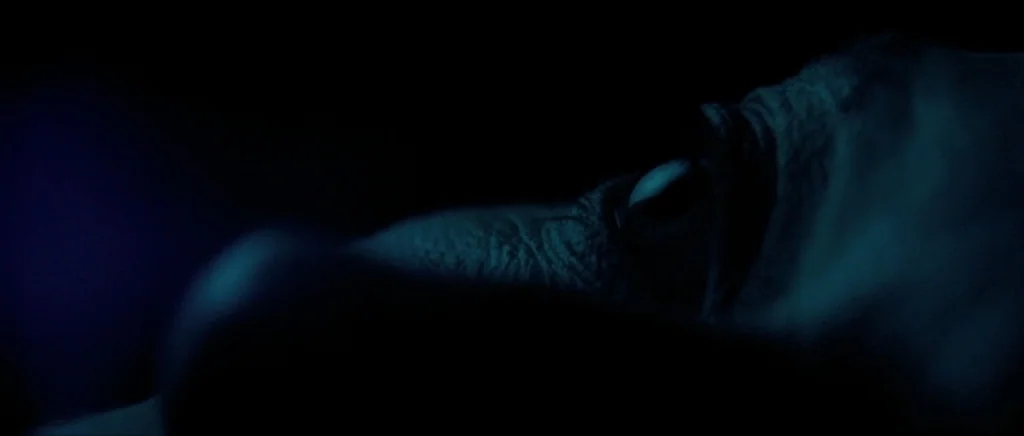 We Need To Talk About Kevin (2011) movie still: closeup — A dark, underexposed environment highlights the partial features of a human face. A person…