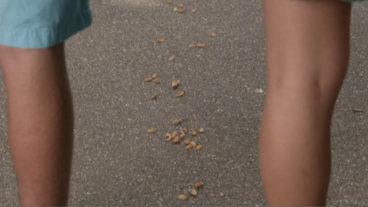 Rufus 2 (2017) movie still: medium — An asphalt surface is covered with scattered peanut shells between two walking individuals. The lower bodies of…