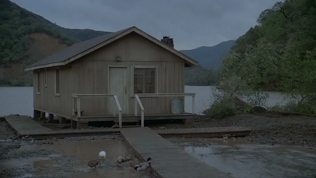Magic (1978) movie still: wide — A wooden cabin stands on stilts at the edge of a large lake. Several ducks forage in the shallow mud near a wooden…