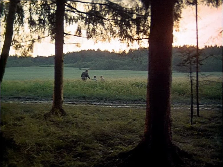 Mirror (Зеркало, Zerkalo) (1975) movie still: wide — An open green field bordered by a dense line of trees during sunset. Three figures walk away…