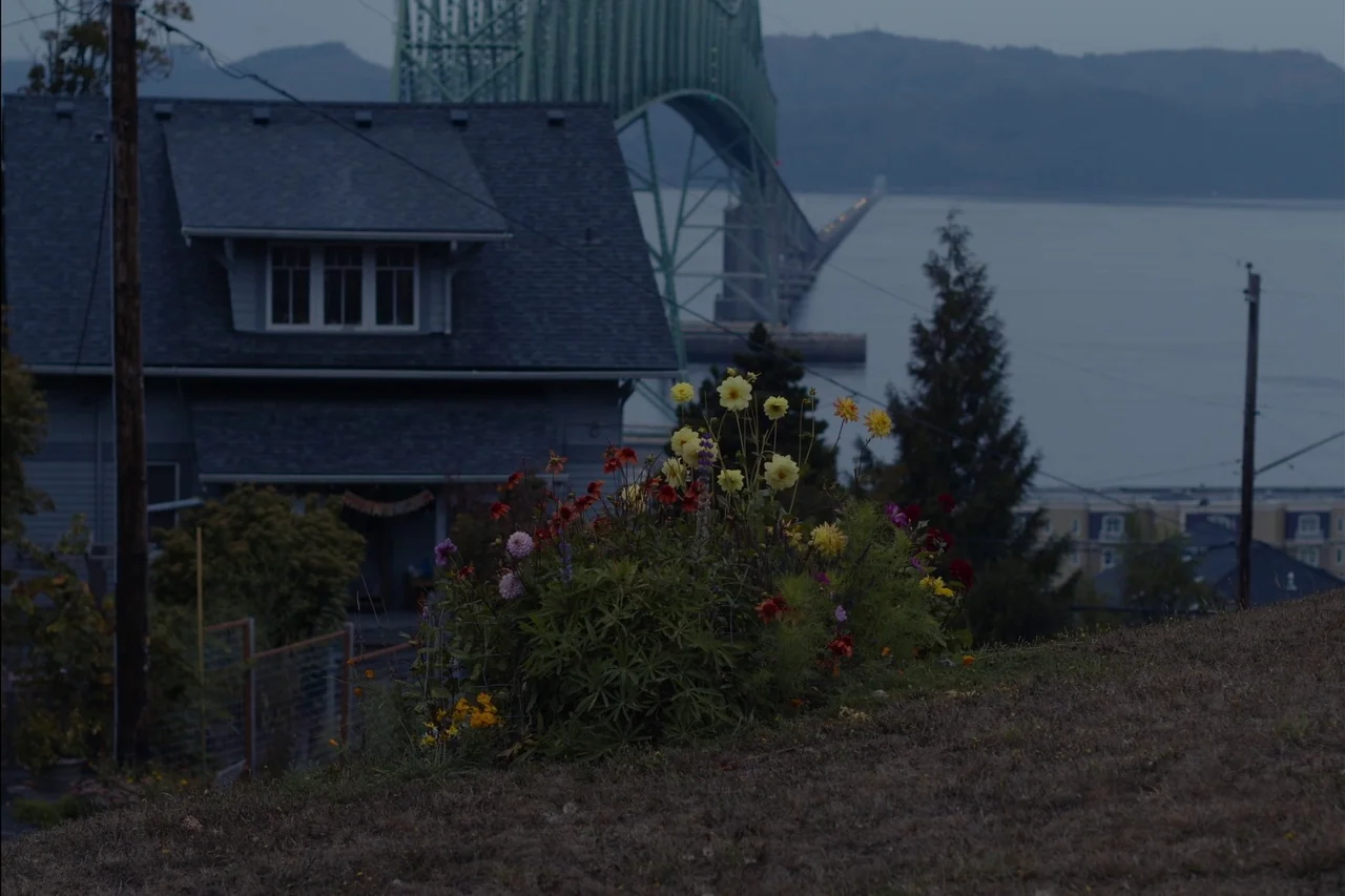 Sometimes I Think About Dying (2023) movie still: wide — A grassy slope overlooks a coastal house and a large green steel bridge. Colorful flowers…