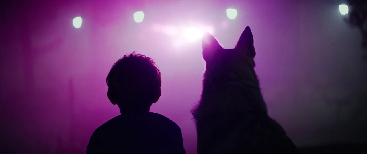 Colour Out of Space (2020) movie still: medium — A street at night is washed in deep magenta light from overhead lamps. A child and a large dog…