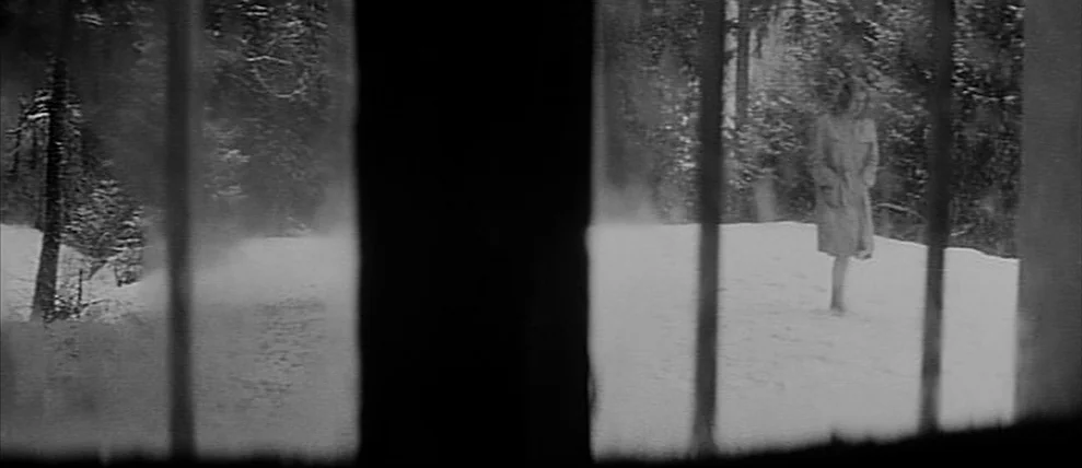 Shoot The Piano Player (Tirez Sur Le Pianiste) (1960) movie still: wide — A snowy, tree-lined clearing viewed through a window frame with thick…