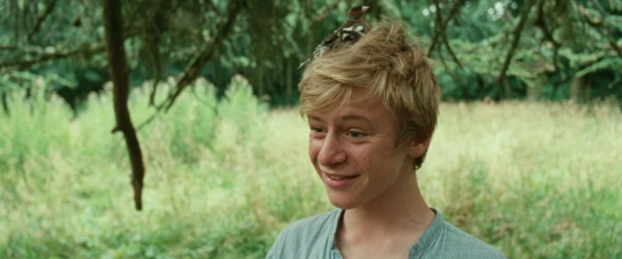 Adoration (2019) movie still: medium — A teenage boy stands in a grassy meadow surrounded by leafy trees. A small bird rests quietly on the top of…