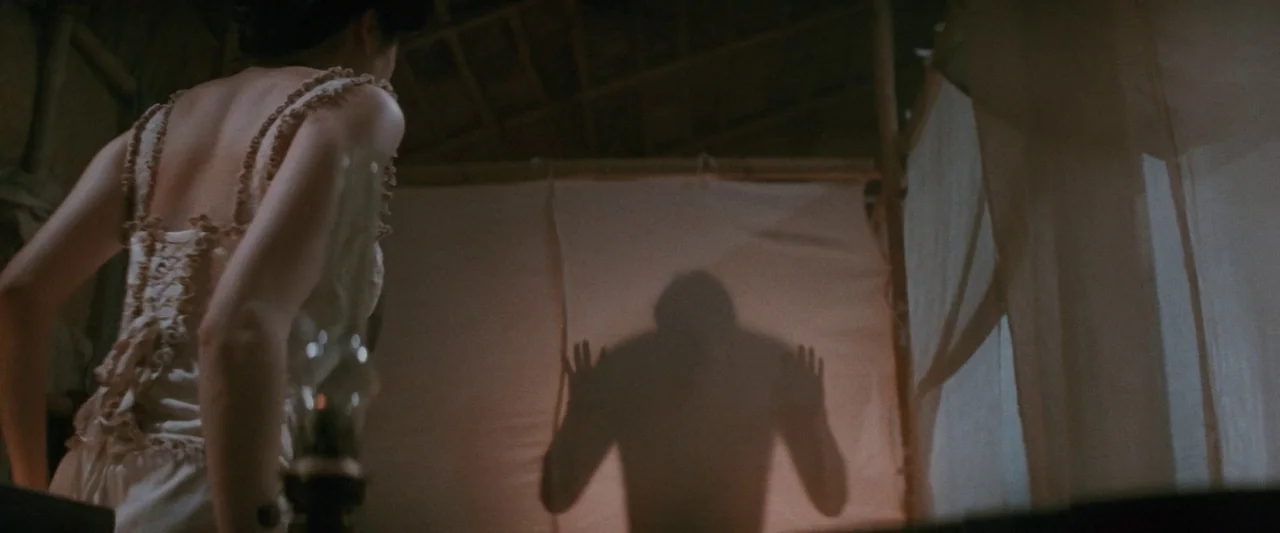 Once Upon a Time in China (1991) movie still: medium — A dimly lit room with bamboo walls features a white fabric room divider. A woman in a white…