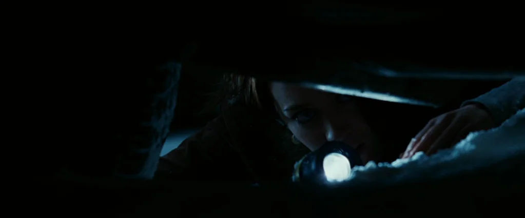 Wind Chill (2007) movie still: closeup — A dark outdoor setting at night with thick snow on the ground. A woman leans forward, peering intently…