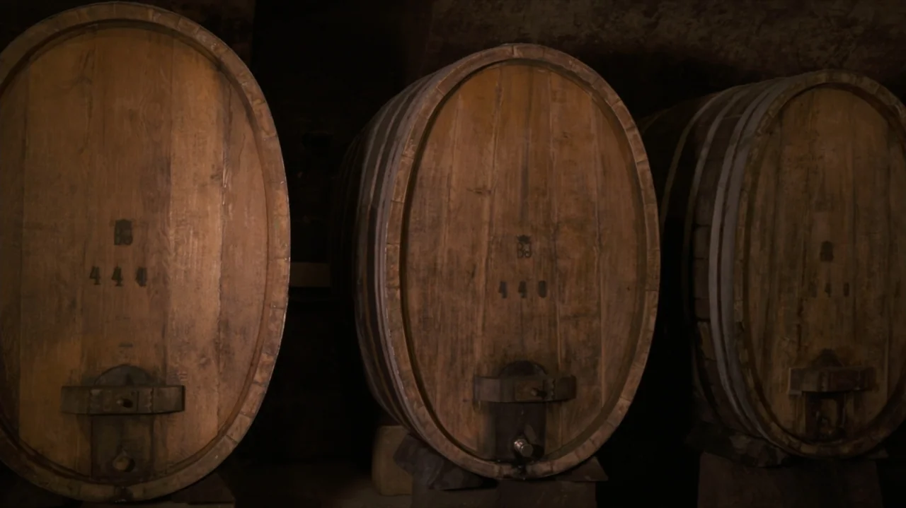 Somm: Into the Bottle (2015) movie still: medium — A dimly lit room contains large wooden wine barrels lined up in a row. Each barrel features metal…