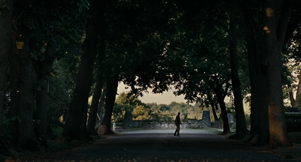 Burn After Reading (2008) movie still: wide — A paved path runs between two rows of tall, dark trees in a park-like area. A solitary person walks…