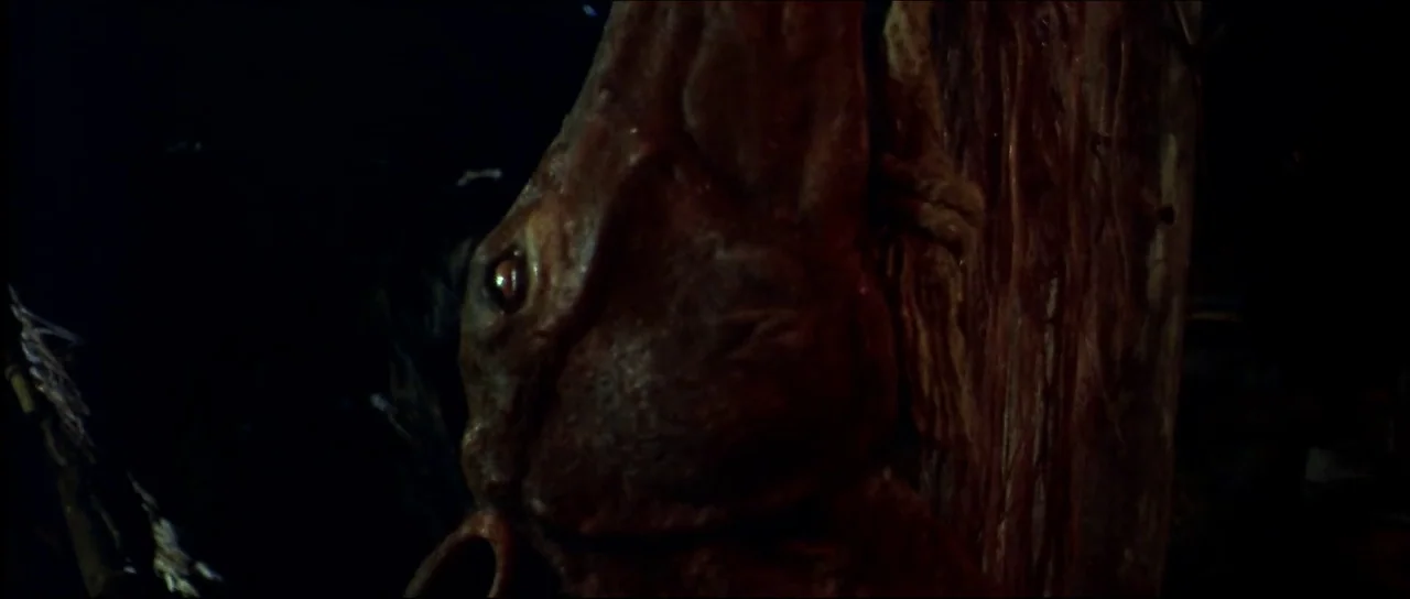 Ravenous (1999) movie still: closeup — A dark, textured organic surface with a singular eye looks outward. The fleshy material resembles a…