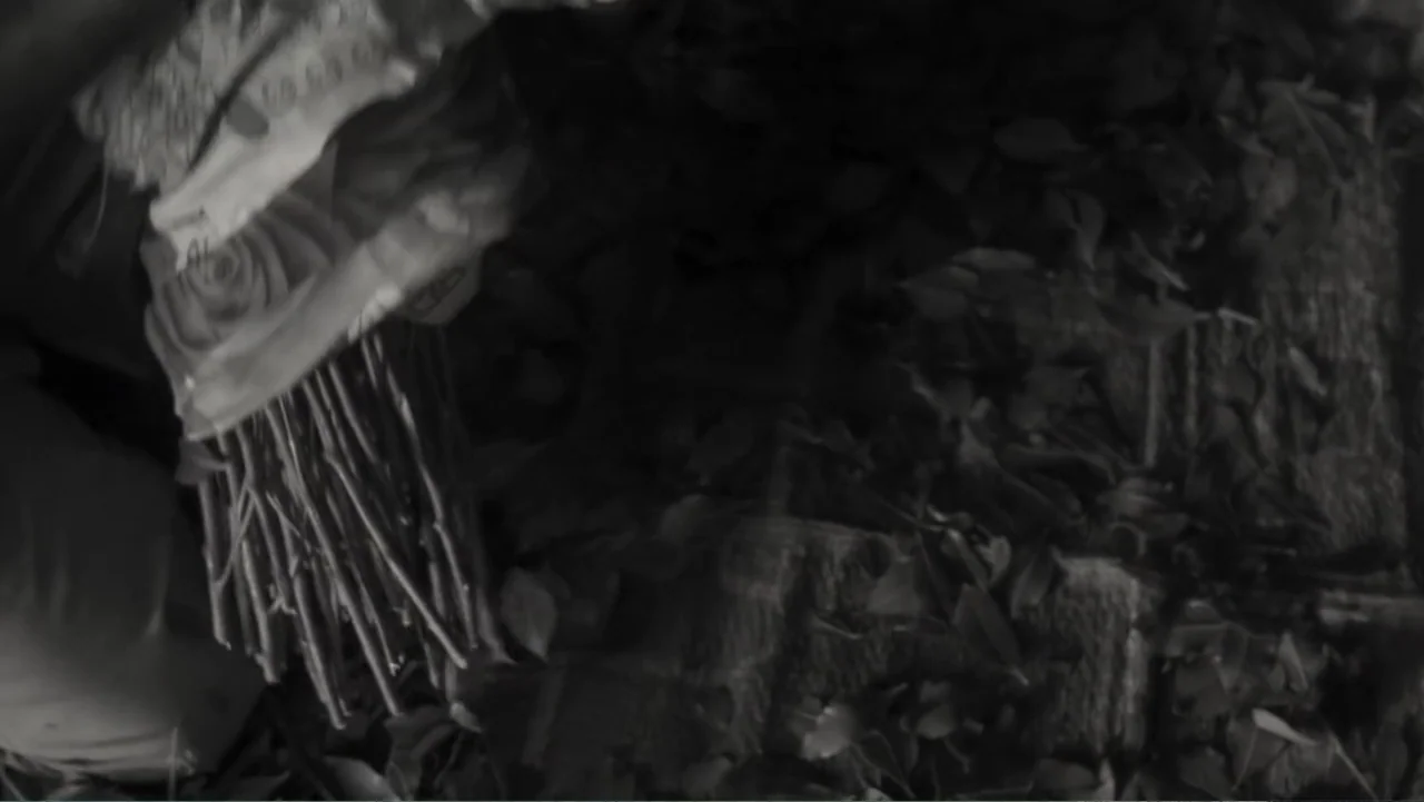 Faya Dayi (2021) movie still: closeup — A dark outdoor area is covered in fallen leaves and natural debris. A bundle of gathered twigs is held over…