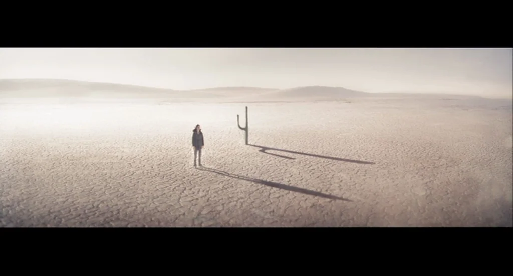 Scott Pilgrim Vs The World (2010) movie still: wide — A vast, cracked arid landscape stretches toward a hazy, distant horizon line. A lone person…