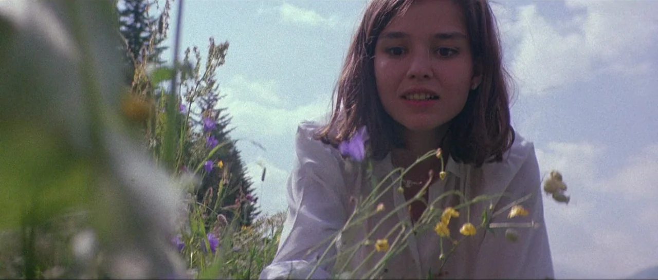 Opera (1987) movie still: medium — A sunny wildflower meadow with green grass and scattered purple and yellow blooms. A young woman leans toward the…