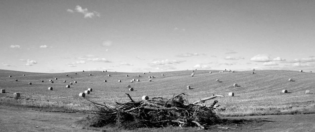 Nebraska (2013) movie still: establishing — A rolling rural landscape with numerous scattered hay bales under a pale sky. In the foreground a large…