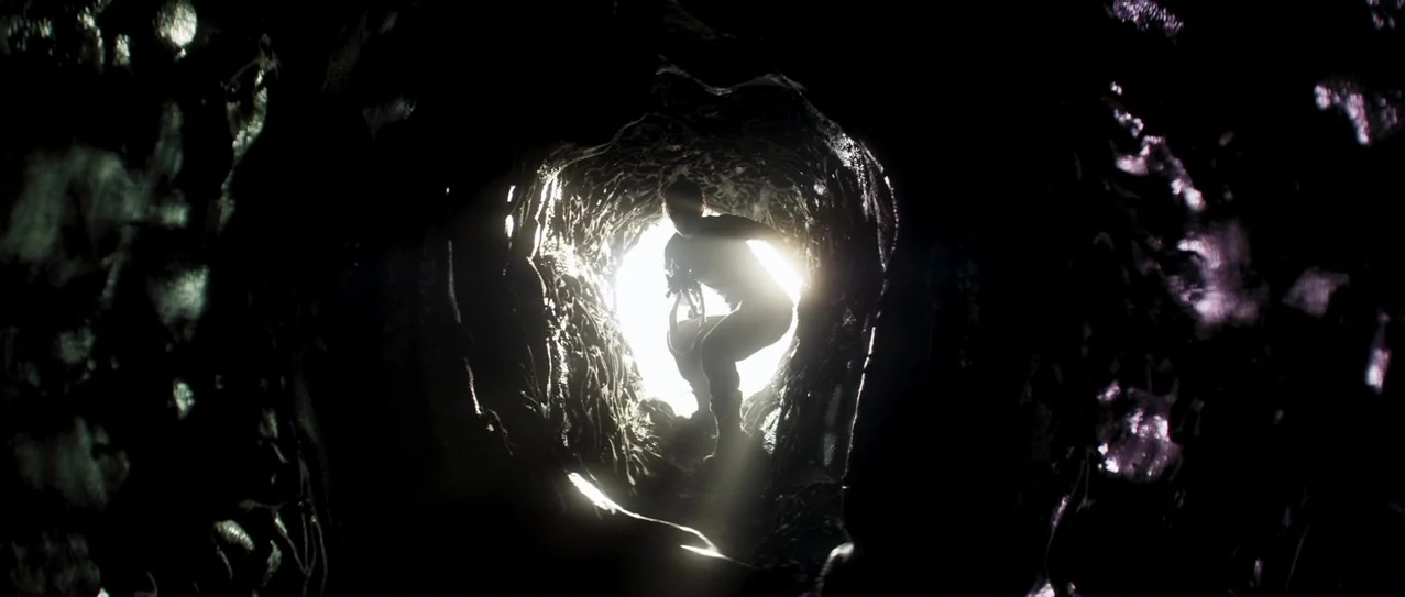 Annihilation (2018) movie still: wide — A dark, cramped, irregularly shaped passage with organic, root-like textures on the walls. A person is…