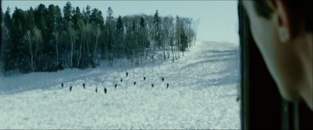 The Assassination Of Jesse James By The Coward Robert Ford (2007) movie still: wide — A wide, snow-covered slope leads toward a dense line of…