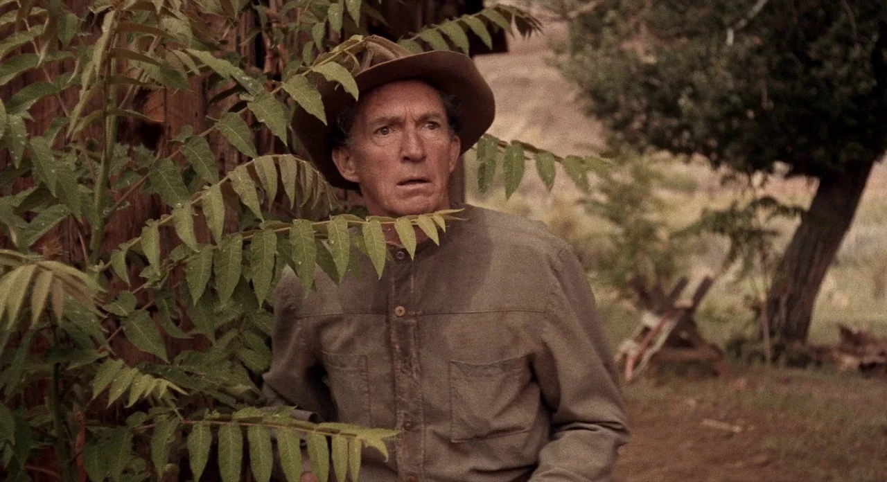 Ride In The Whirlwind (1966) movie still: medium — A man stands partially obscured by a rough wooden building in a rural environment. He looks…