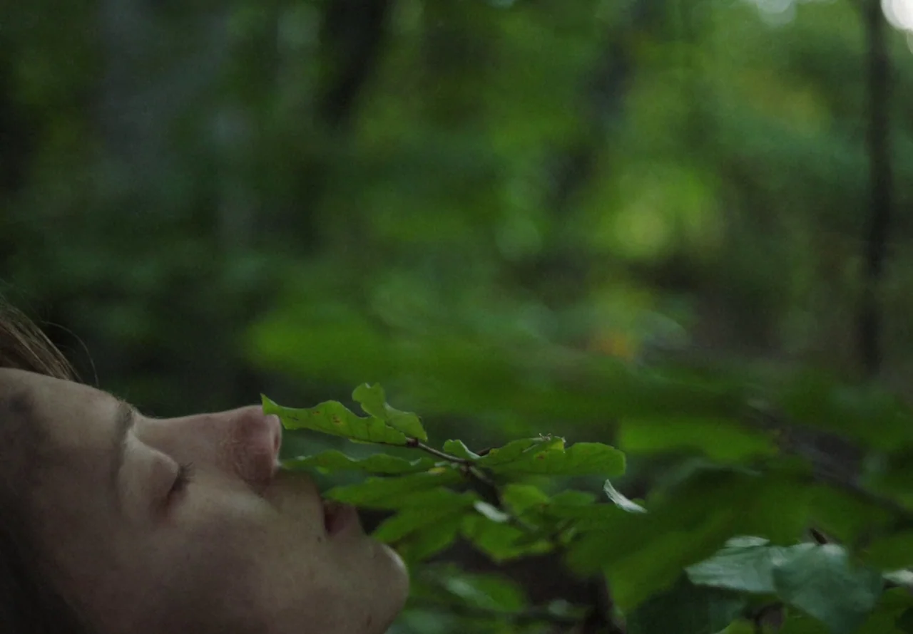 You Won’t Be Alone (2022) movie still: closeup — A close-up view of a person lying in a dense, green woodland area. The subject rests against a…