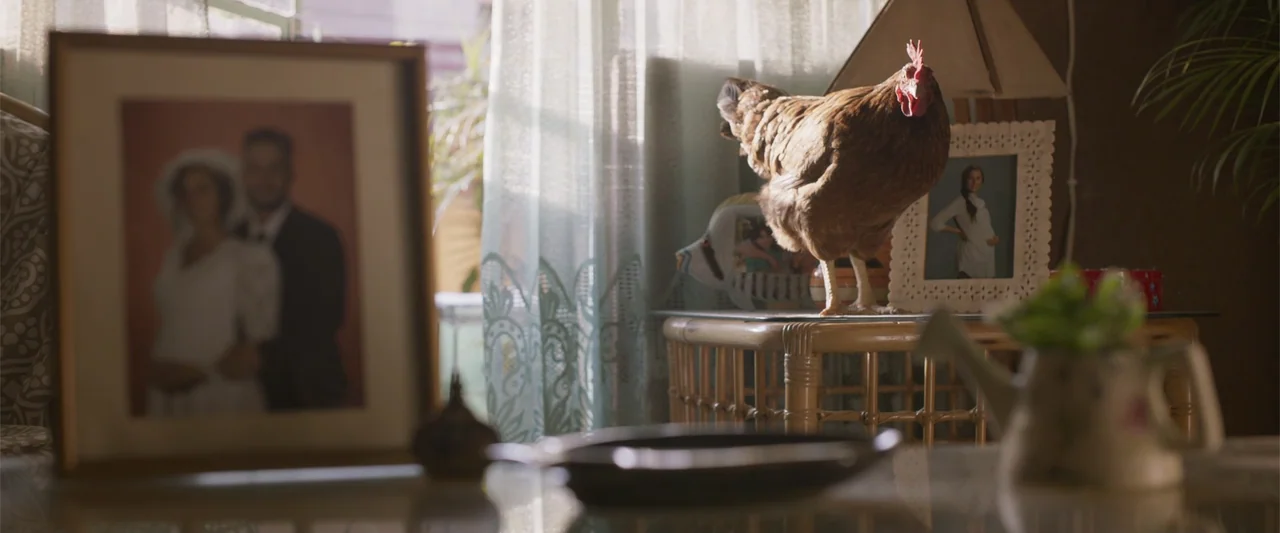 Crazy for Change (2020) movie still: medium — A sunlit living room features a bamboo table holding a brown chicken and picture frames. The chicken…
