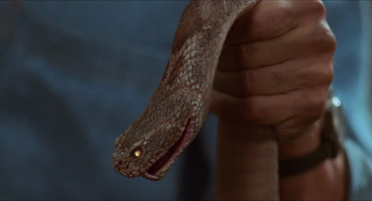 Hard Target (1993) movie still: closeup — A close-up view of a person's hand grasping a brown venomous snake. The snake's head is directed downwards…