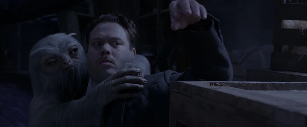 Fantastic Beasts and Where to Find Them (2016) movie still: medium — A dimly lit cellar interior features wooden crates stacked in the background. A…