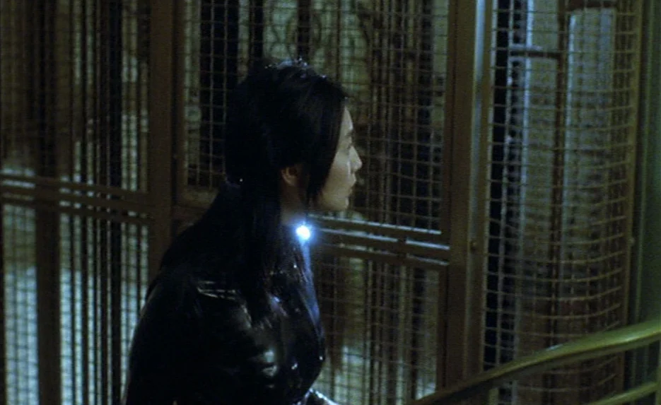 Irma Vep (1996) movie still: medium — An interior metal mesh gate stands in a dark and shadowed industrial stairwell. A young woman with dark hair…