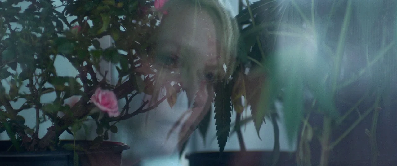 Woodshock (2017) movie still: closeup — A close-up shot of a window reflection with potted plants in the foreground. A woman's face is visible as a…