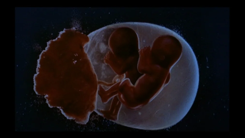 Sisters (1973) movie still: closeup — A dark space contains a translucent membrane holding two embryonic, reddish-brown human forms. To the left, a…