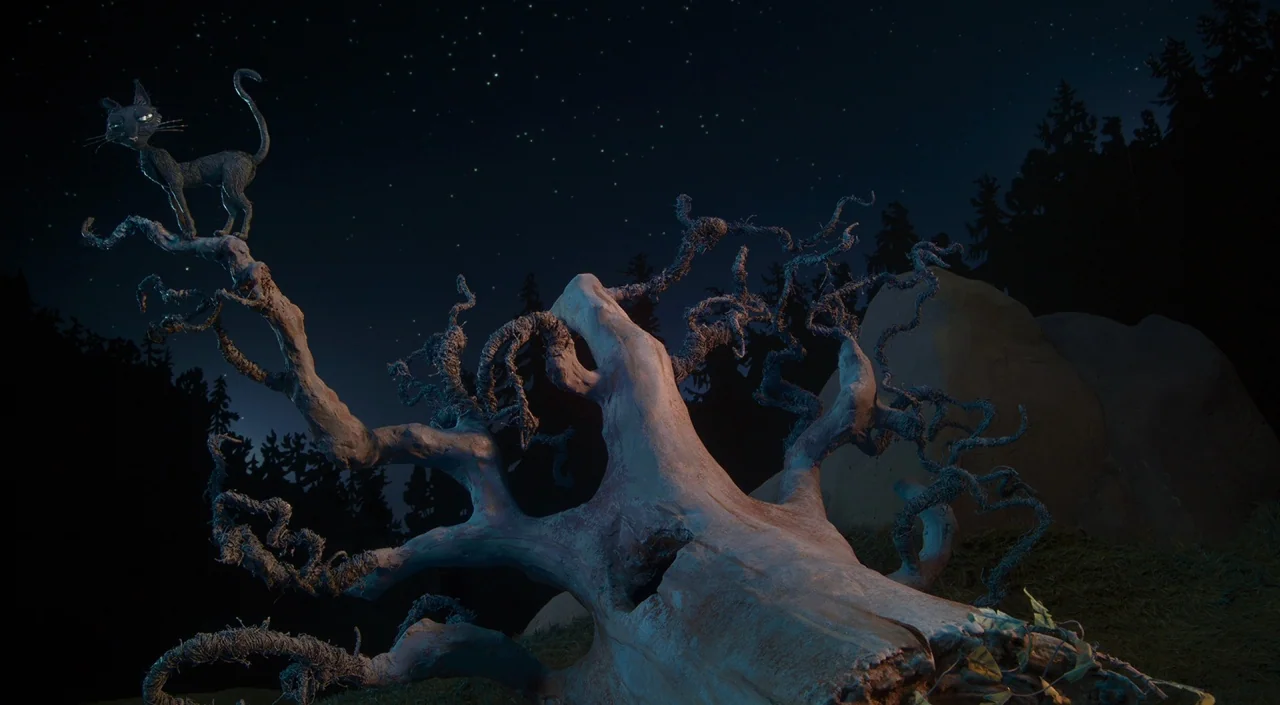Coraline (2009) movie still: wide — A dark, star-filled night sky hangs over a woodland setting with a fallen tree. A small black cat figure stands…