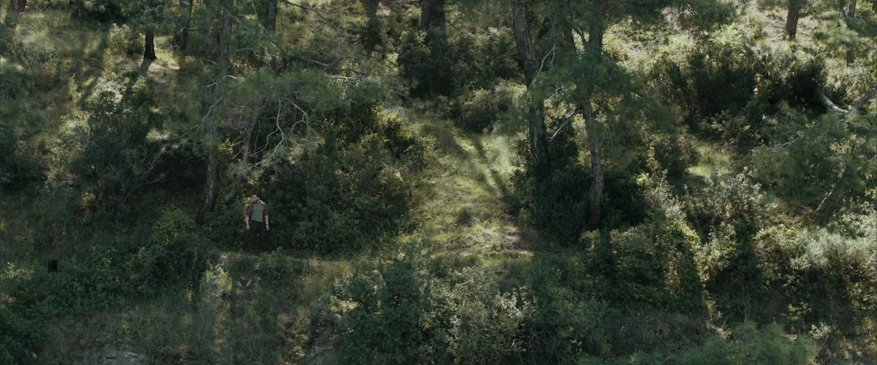 Blue Cave (2024) movie still: wide — A dense hillside forest with pine trees and thick brush lines a narrow trail. A man in a flannel shirt stands…