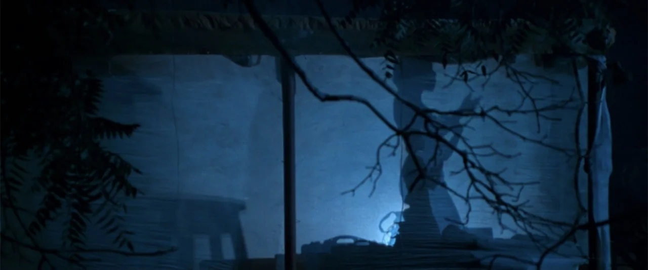 Anaconda (1997) movie still: medium — A night exterior view of a screened-in structure at night with blue light. A woman stands behind the…