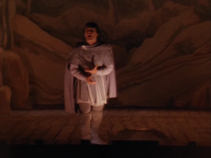 The Magic Flute (1975) movie still: fullbody — A dark wooden stage features a large, rustic, hand-painted scenery backdrop behind the performer. The…