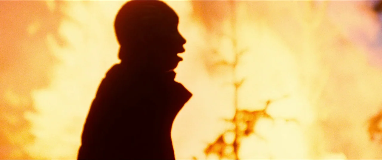 The Five Devils (2022) movie still: closeup — A dark, blurred silhouette of a man stands against a massive, bright orange blaze. Large flickering…