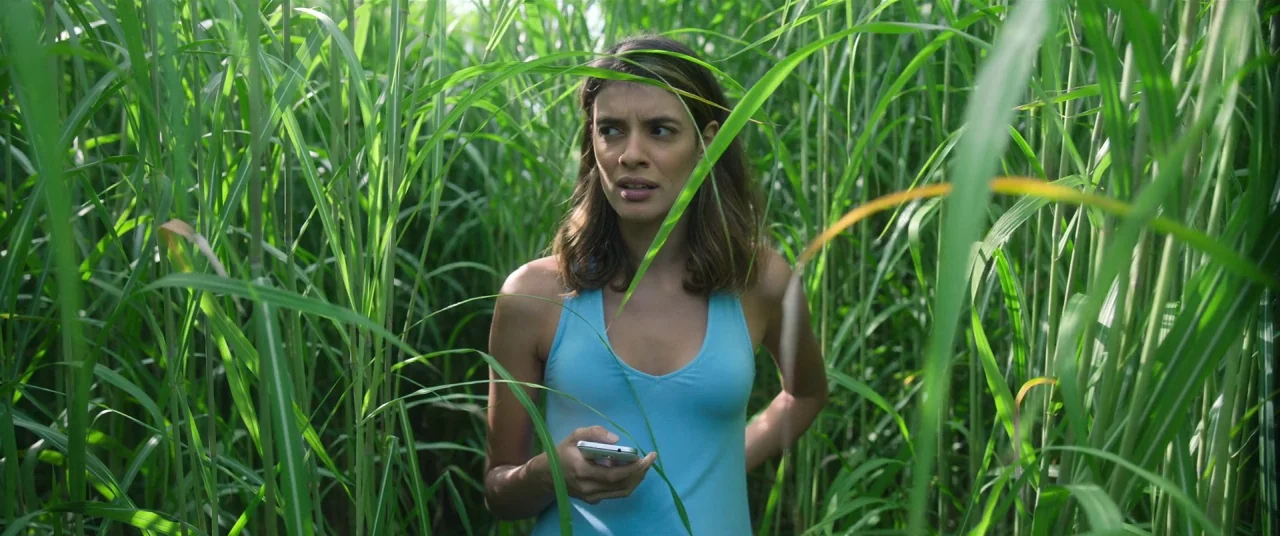 In The Tall Grass (2019) movie still: medium — A woman stands amongst dense, towering stalks of green grass that obscure her surroundings. She holds…