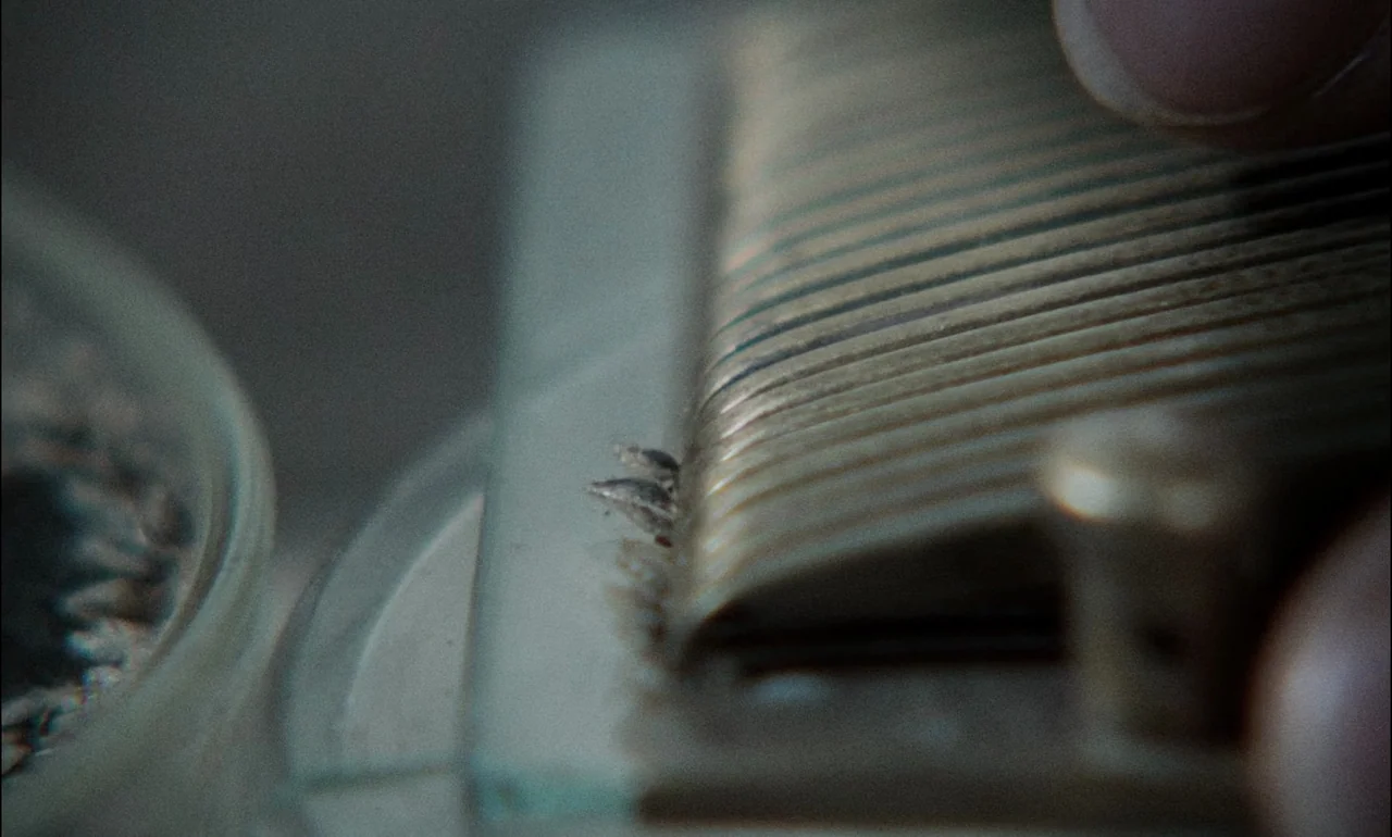 The Third Part of the Night (1971) movie still: closeup — A close-up view shows the metallic teeth and base of a mechanical component. An…