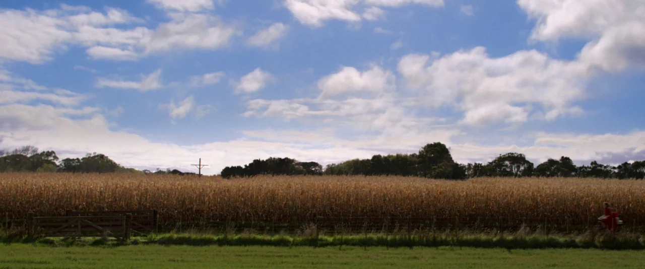 Pearl (2022) movie still: wide — A wide, expansive field of dry, harvested corn stalks stretches across the horizon. A wooden fence runs along the…