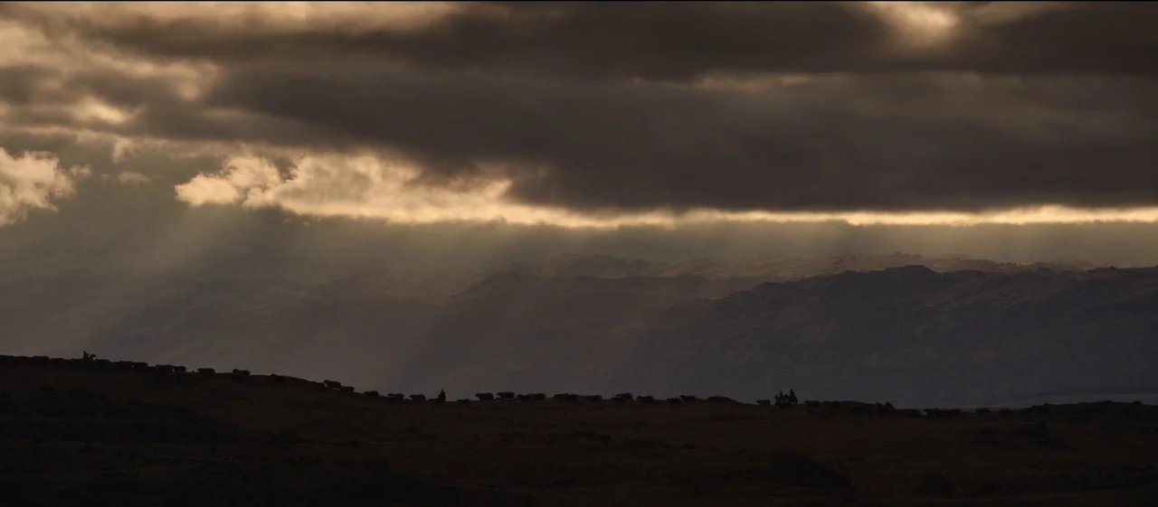 The Power of the Dog (2021) movie still: wide — A vast, rugged landscape features a long line of cattle silhouetted against the sky. Distant…