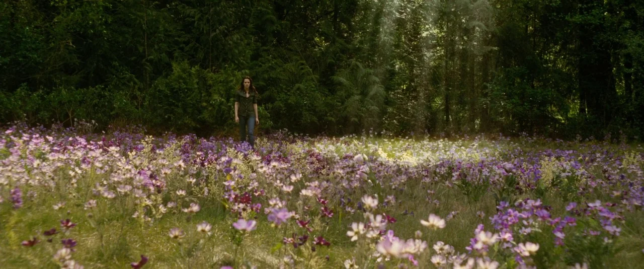 The Twilight Saga: New Moon (2009) movie still: wide — A clearing in a dense woodland is filled with purple and white wildflowers. A teenage girl…