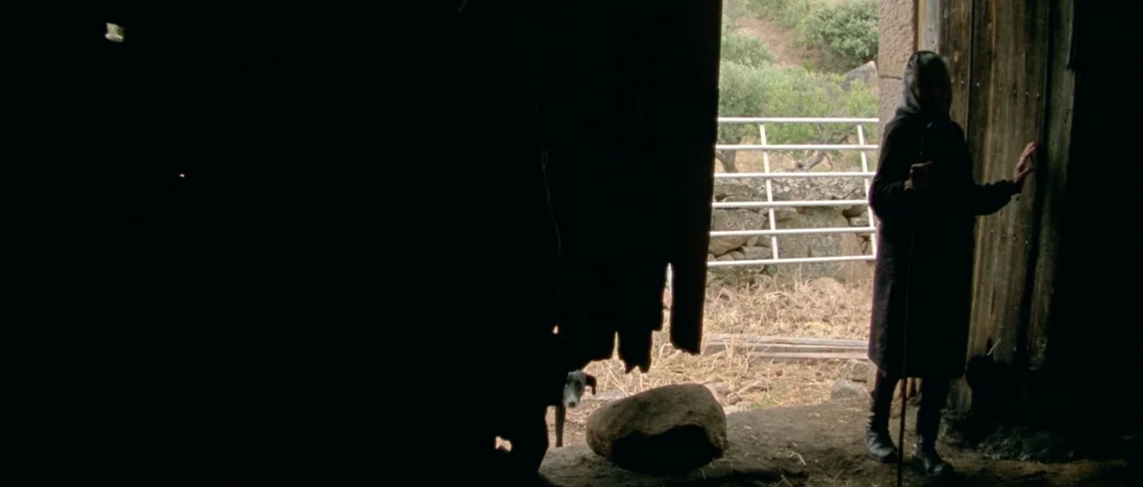 Arabian Nights: Volume 2 The Desolate One (2015) movie still: wide — An elderly woman stands in the shadows of a wooden doorway looking outdoors.…