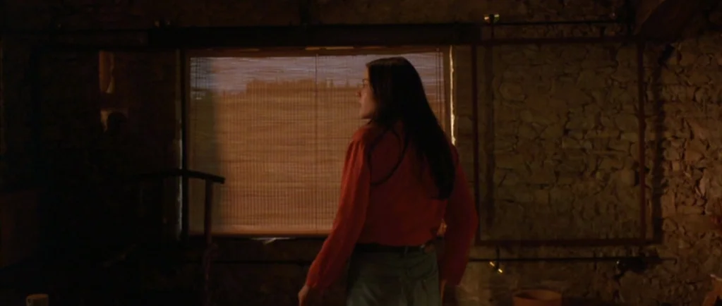 Stealing Beauty (1996) movie still: medium — A dark, rustic interior features rough stone walls and a single large window. A woman wearing an orange…