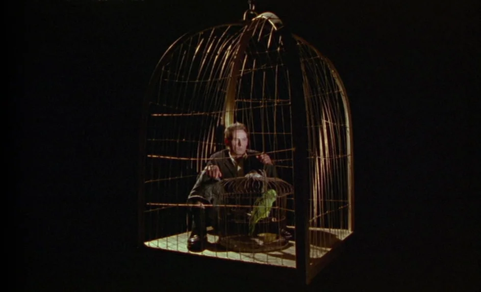 Wittgenstein (1993) movie still: fullbody — A man is positioned inside an oversized birdcage set against a pitch black background. The man holds a…
