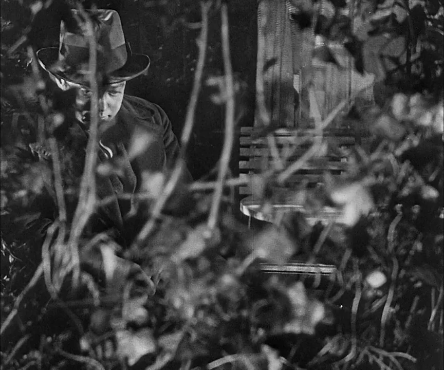M (1931) movie still: medium — A dark outdoor space populated by thick tangled bushes and branches. A man wearing a fedora sits partially obscured…