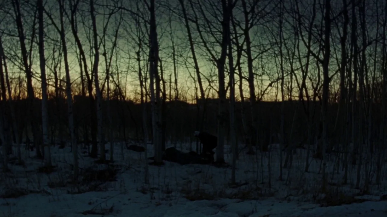 I Am Not a Serial Killer (2016) movie still: wide — A dense patch of leafless trees stands over a snow-covered ground at twilight. The horizon…