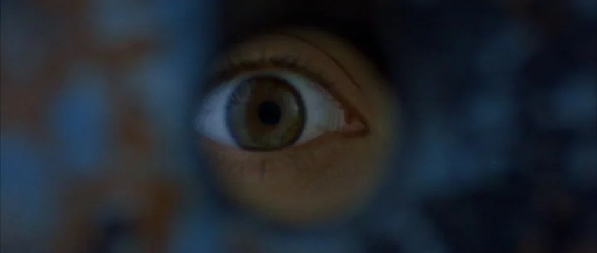 The Truth About Charlie (2002) movie still: closeup — A dark, textured circular aperture frames a human eye looking through a hole. The eye is…