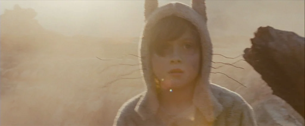 Where The Wild Things Are (2009) movie still: closeup — A hazy, sun-drenched outdoor field filled with soft golden light and subtle dust particles.…