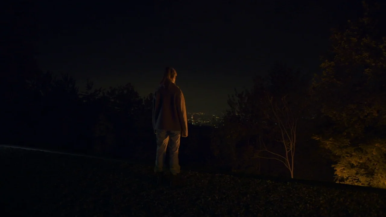 Amanda (2022) movie still: fullbody — A person stands on a dark, unpaved ridge overlooking a distant, glowing city at night. Dense silhouettes of…